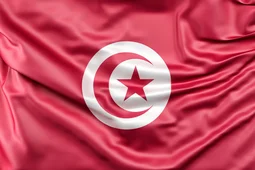 steag tunisia