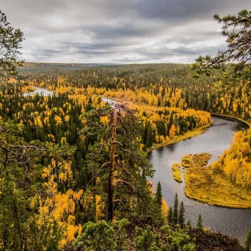 oulanka national park finlanda