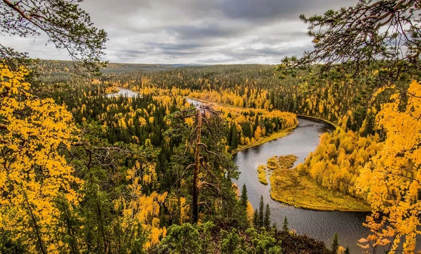 oulanka national park finlanda