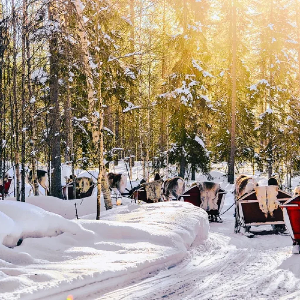 sani trase de reni finlanda rovaniemi