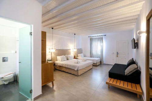 petinaros mykonos